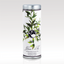 VX-8180-AncientGreenTea